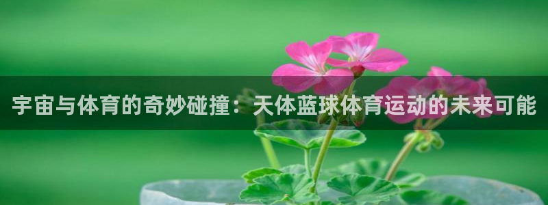 w88体育