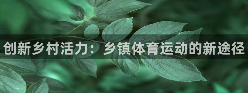 88体育app直播最新版：创新乡村活力：乡镇体育运动的新途径