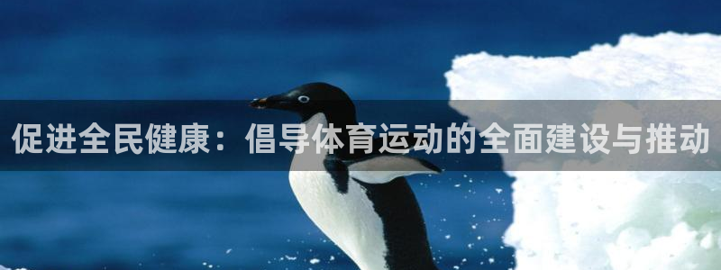 88体育在线直播观看：促进全民健康：倡导体育运动的全面建设与推动