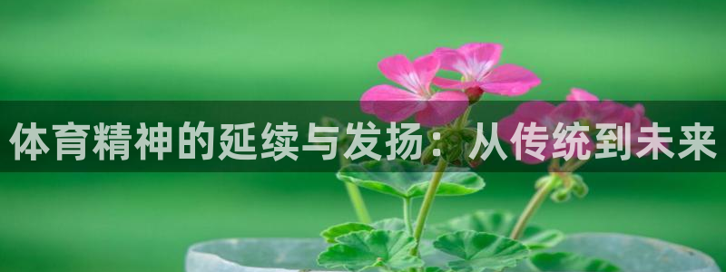 8688体育下载