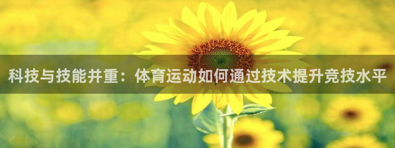 88体育平台登录入口快速版新网页.安卓开启.中国
